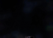 开云体育下载-切尔西横扫巴黎，梅西制霸全场