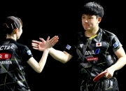 开云体育APP下载-日本乒乓球队绝杀奥地利乒乓球队，张本智和制霸全场的简单介绍