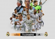 开云体育平台APP-明尼苏达的破晓，爱德华兹抢七夜的关键觉醒