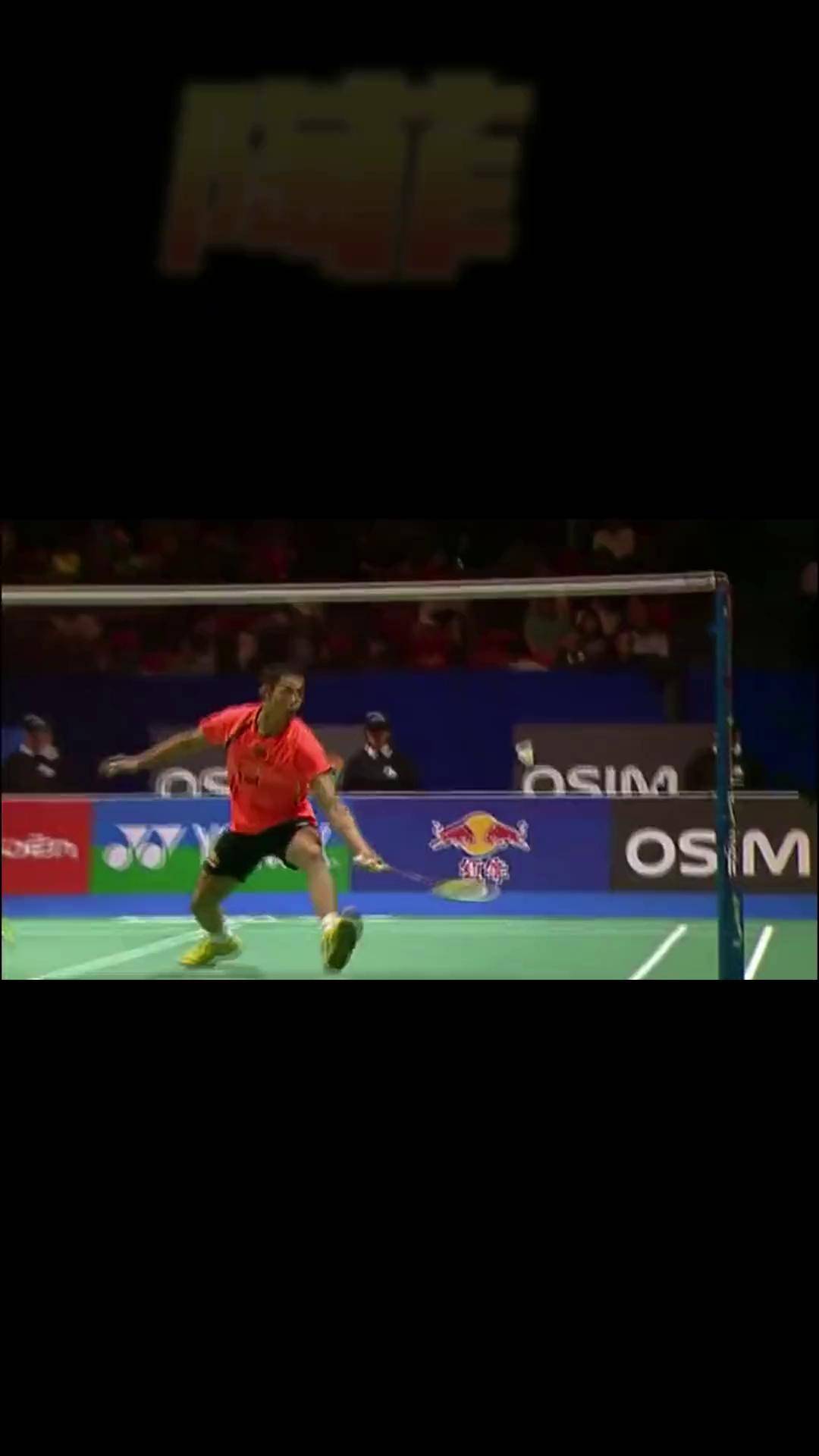 包含法国羽毛球队血洗中国羽毛球队，陶菲克关键制胜的词条