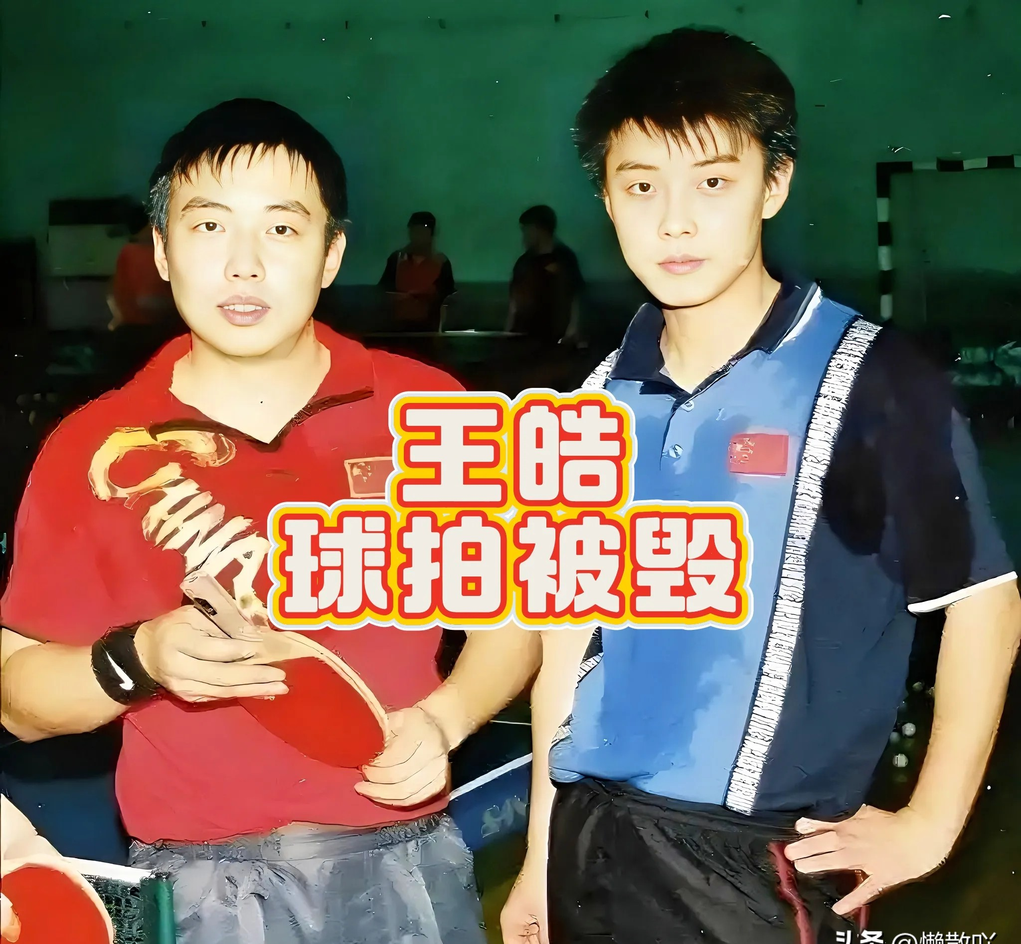 日本乒乓球队翻盘波兰乒乓球队，王皓统治全场的简单介绍