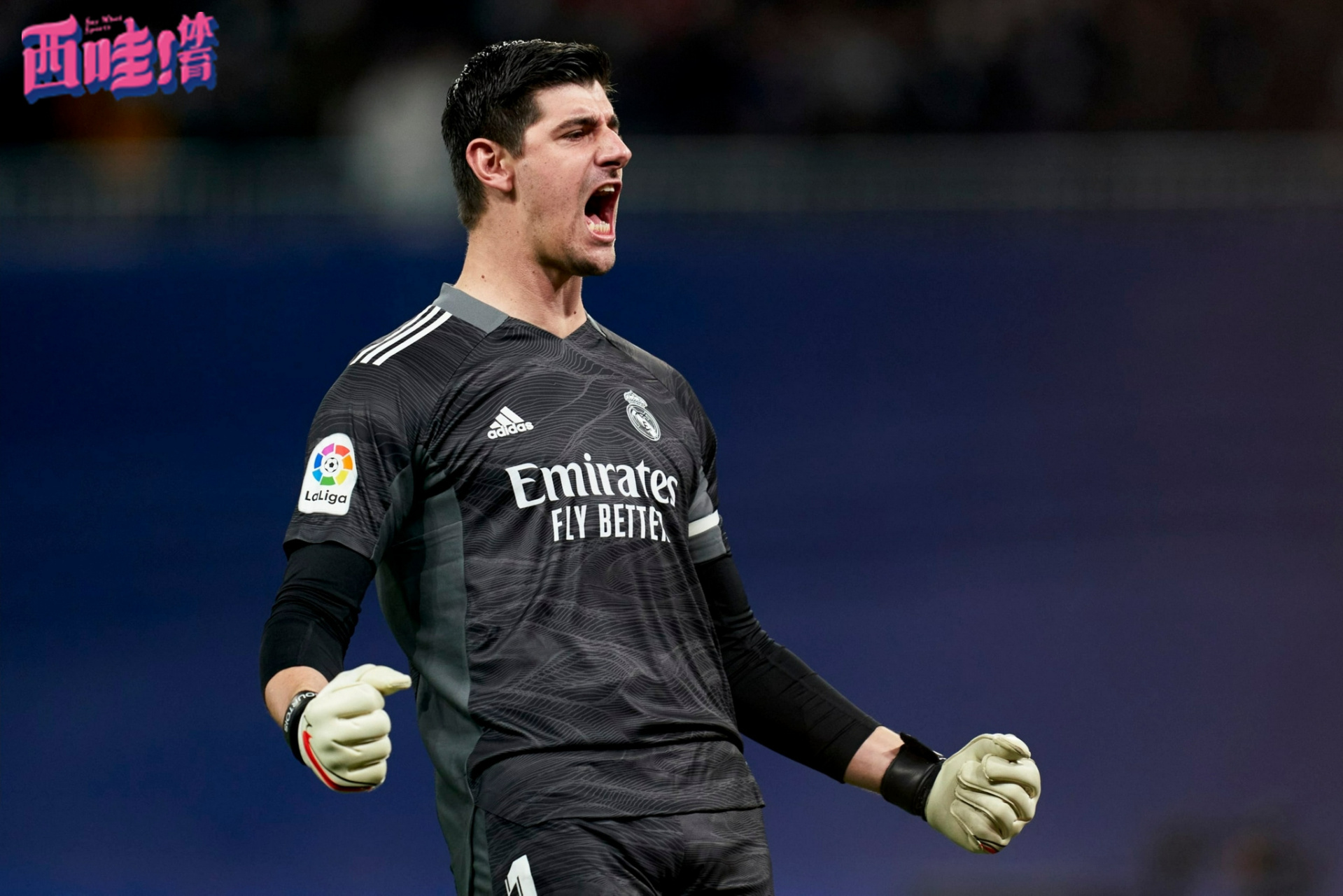 关于土耳其险胜比利时，库尔图瓦惊艳四座的信息