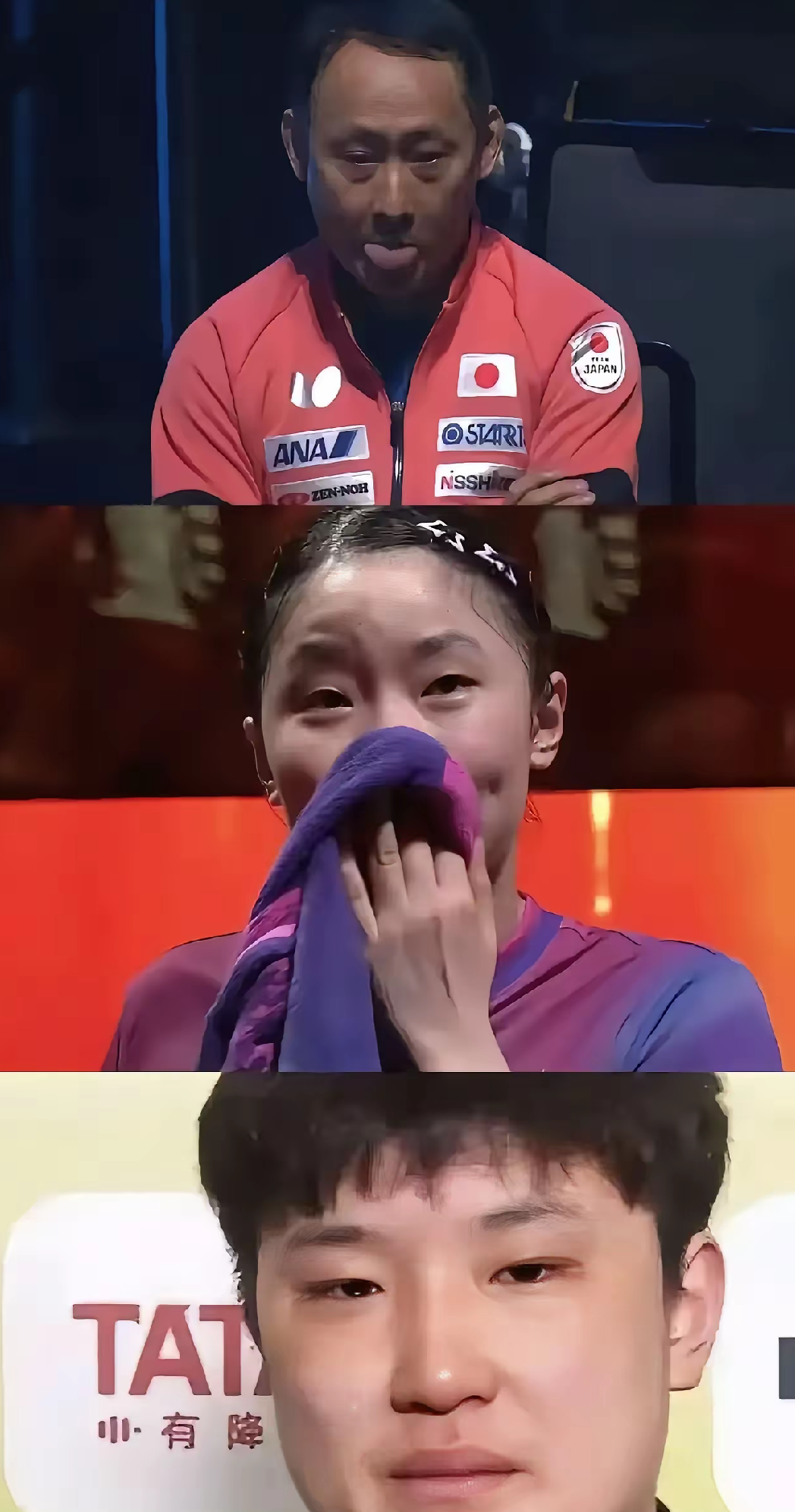 包含葡萄牙队绝杀德国队，张本智和惊艳四座的词条