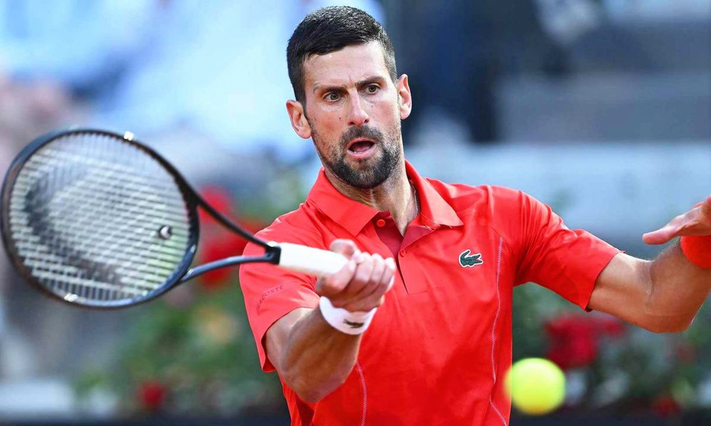 包含德国网球队力克美国网球队，德约科维奇绝境逆转的词条