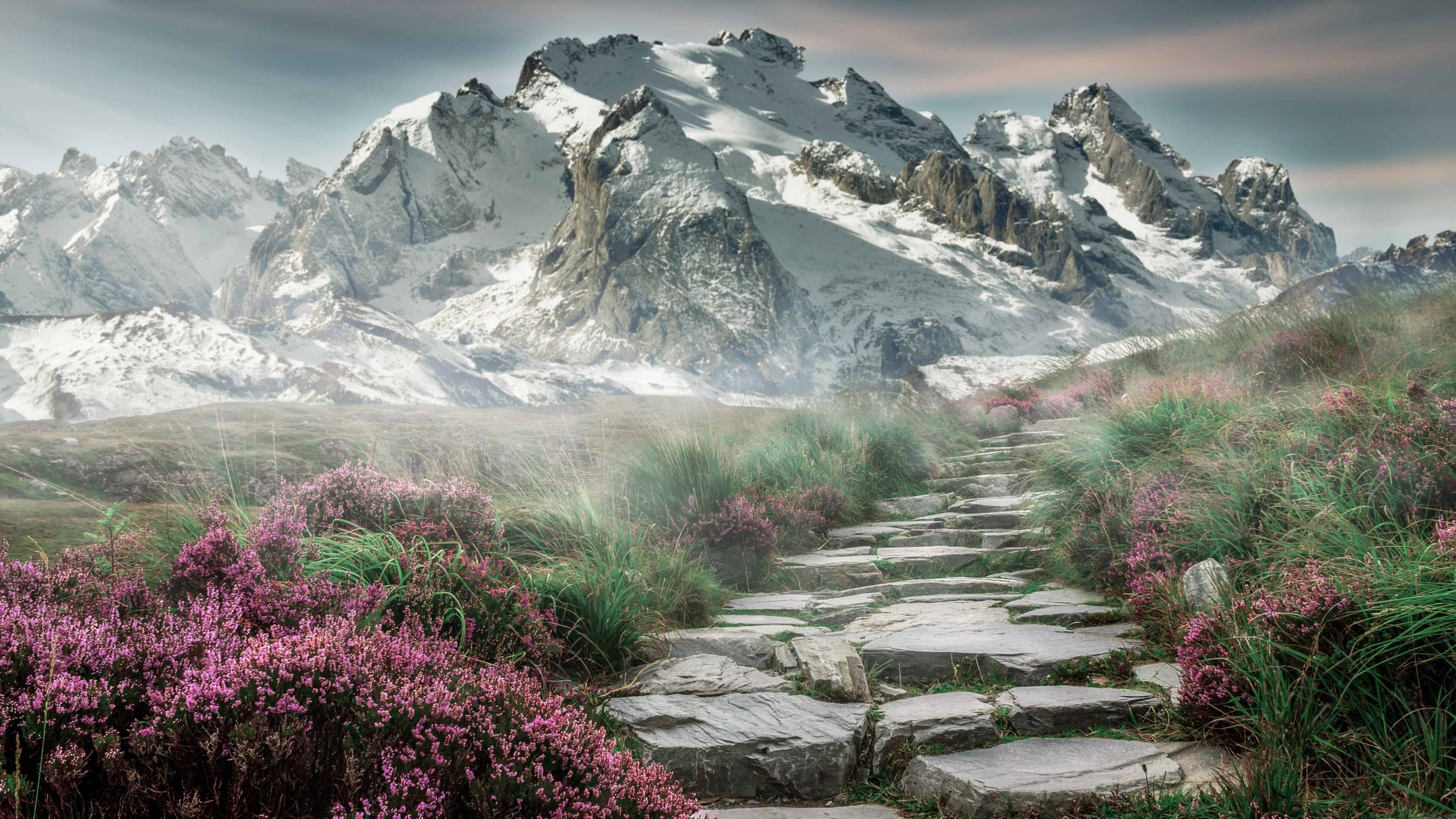 橙衣军团新王登基,莱奥刷新纪录,荷兰险胜克罗地亚