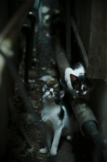 冰岛式奇迹与中国足球的突围之路，德布劳内如何诠释关键先生的真谛