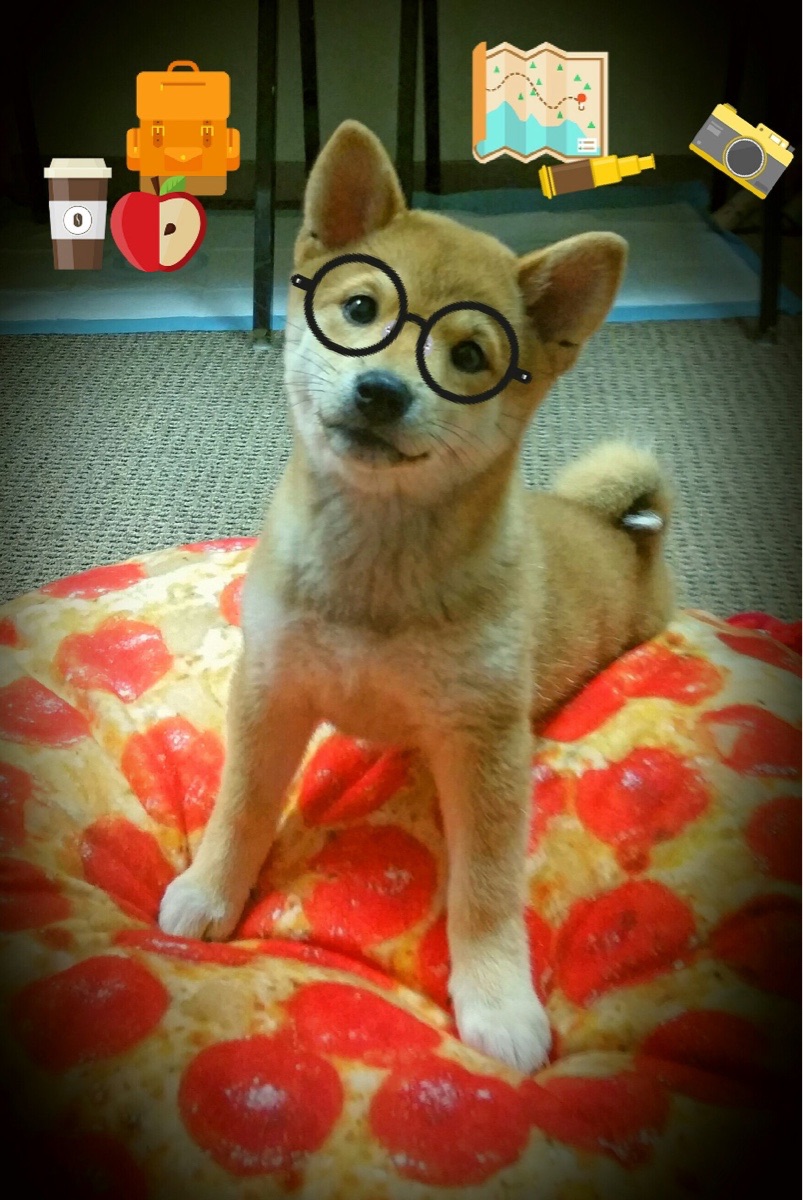 非洲雄狮的伦敦噩梦,奥斯梅恩导演阿森纳狂胜喀麦隆的战术革命