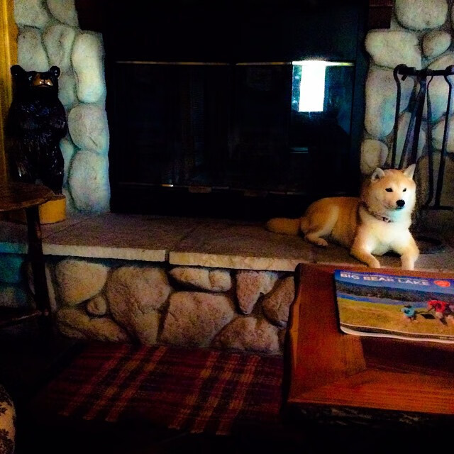 布克独舞北境，猛龙撕裂东北虎—焦点战的双重证明