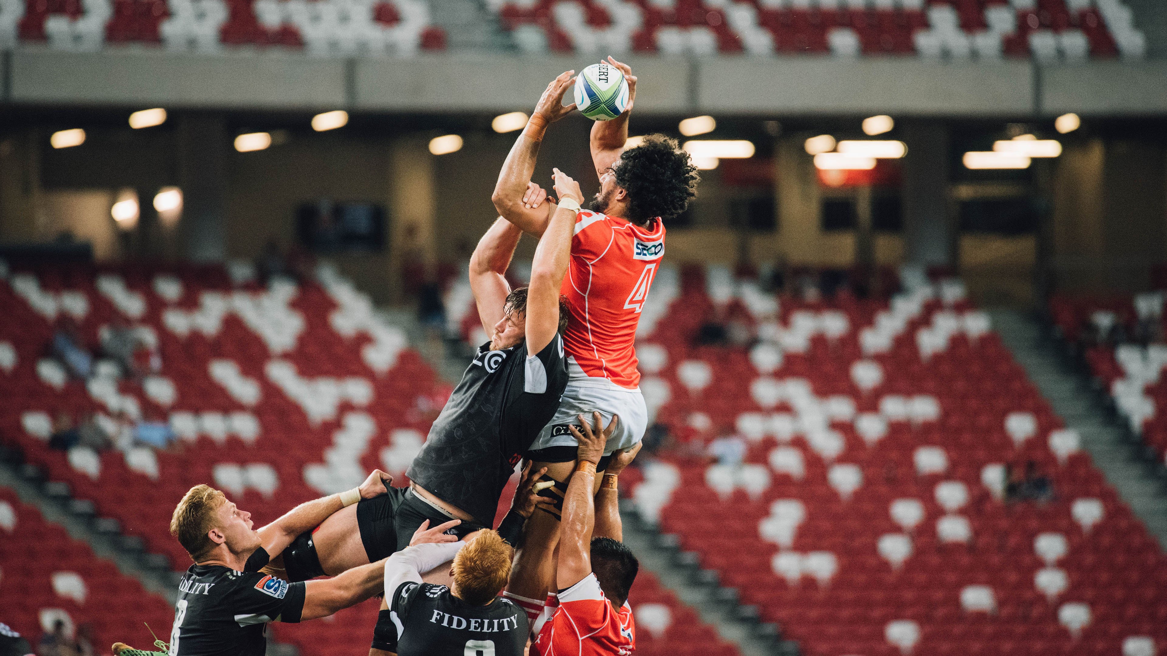 欧冠半决赛焦点战与灰熊生死战，跨越体育的胜利叙事